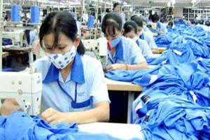 Nhật Bản và các DN Việt Nam.